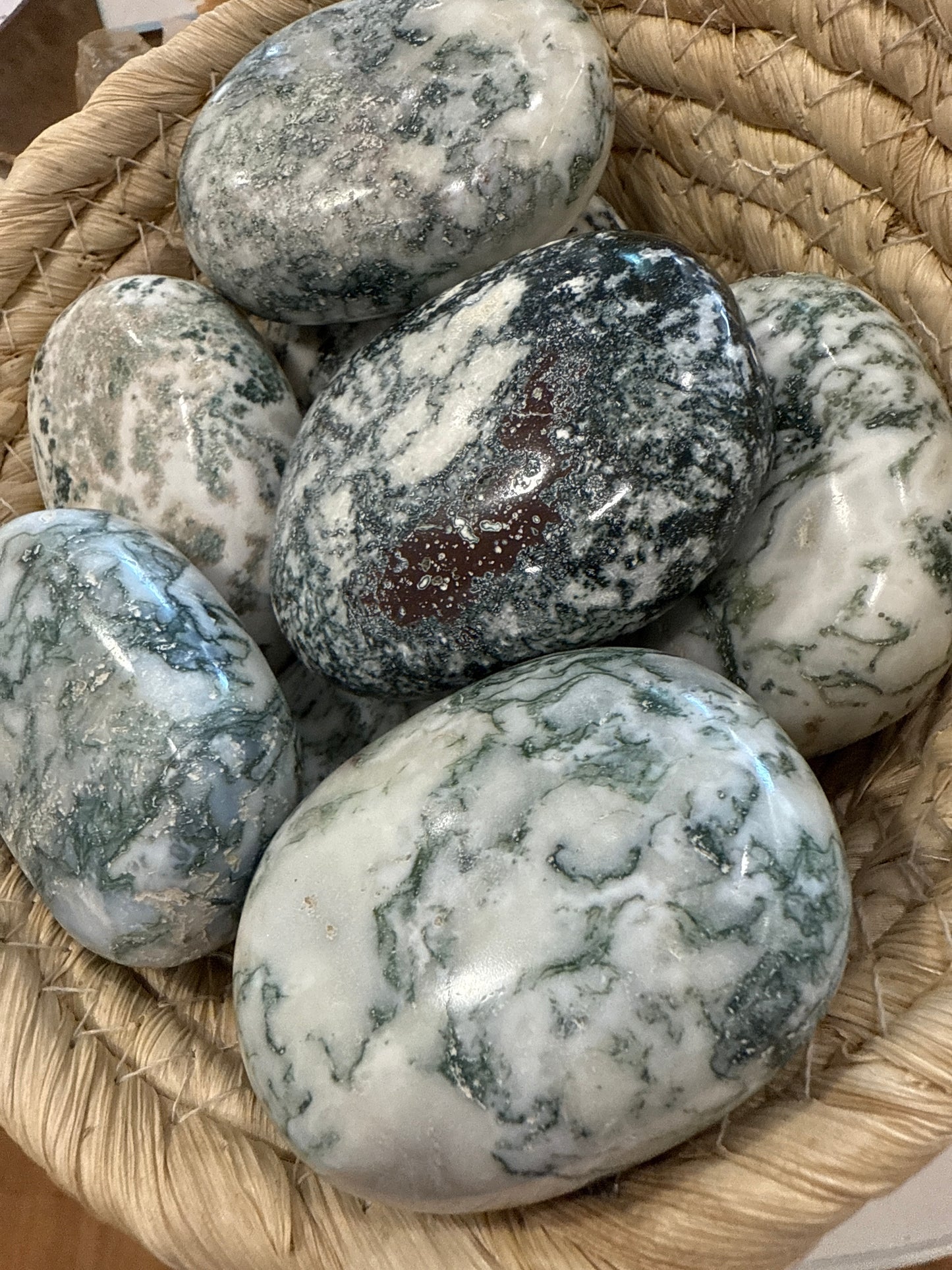 Tree Agate Palm Stone