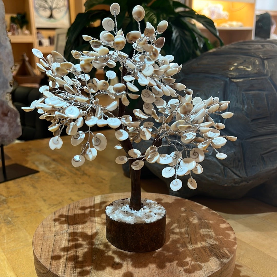 Shiva Shell Tree
