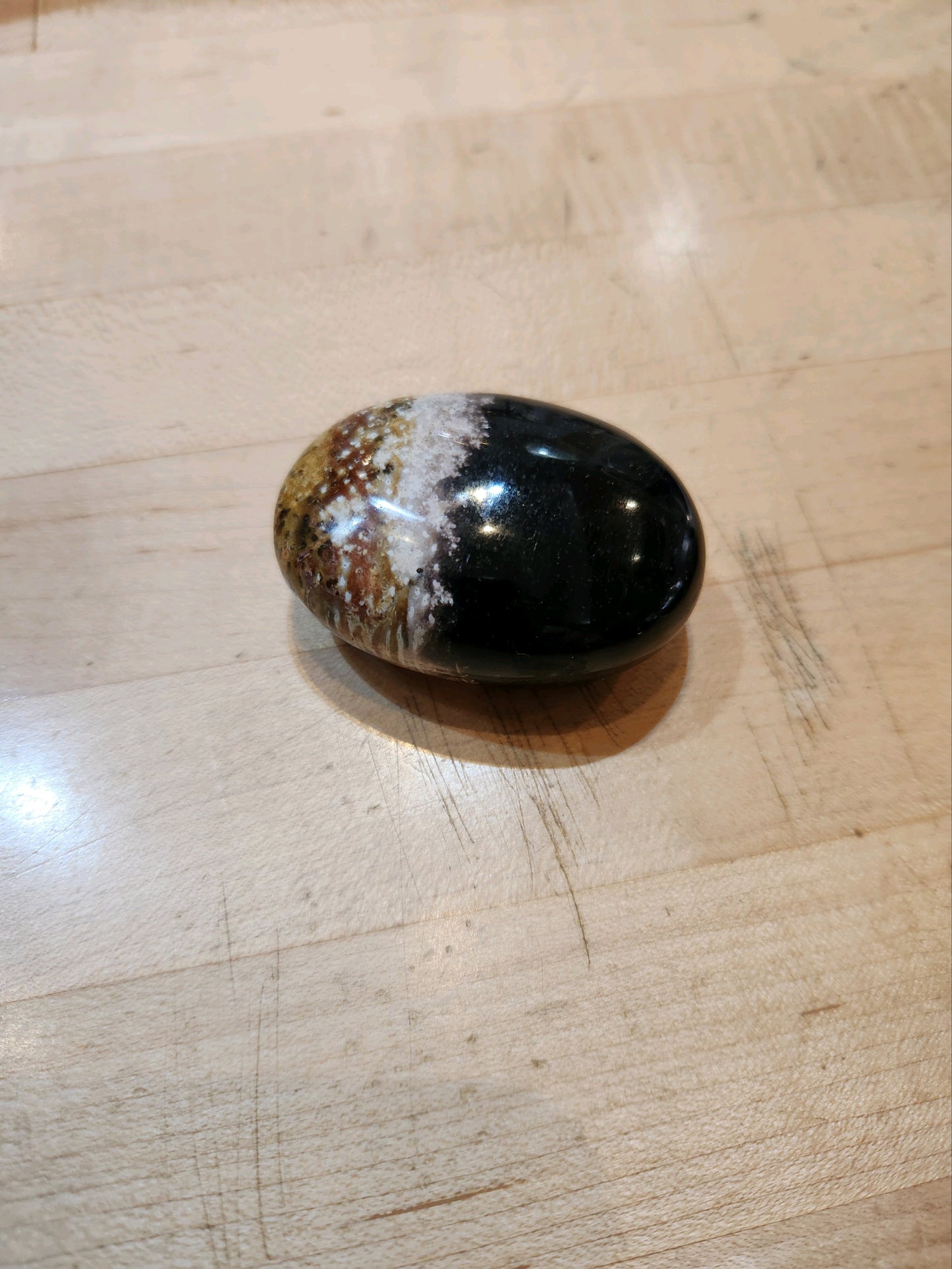 Palm Root Palm Stone