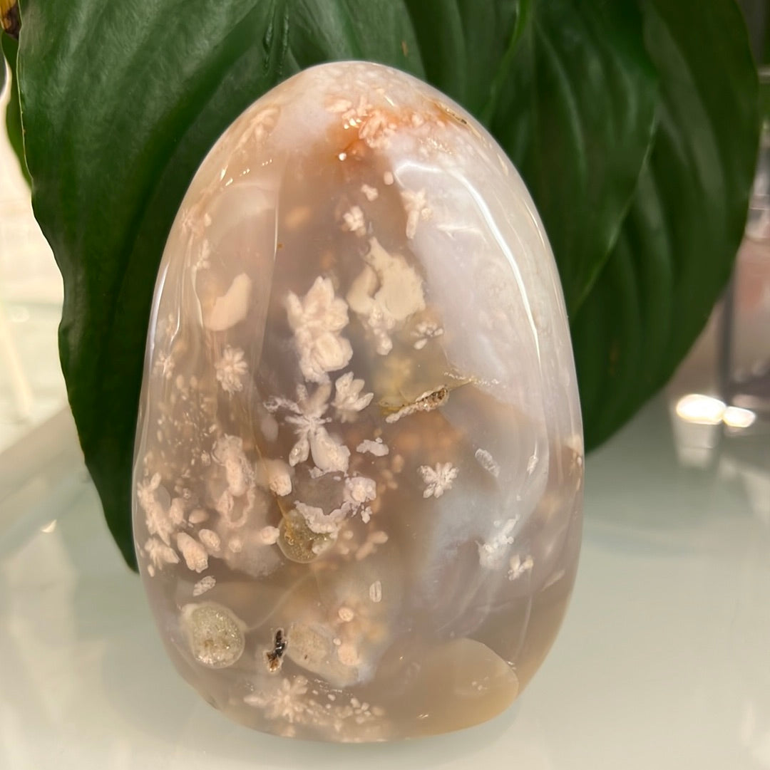Flower Agate Freeform