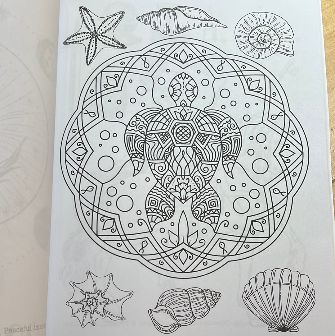 Mystical Mood Coloring Book