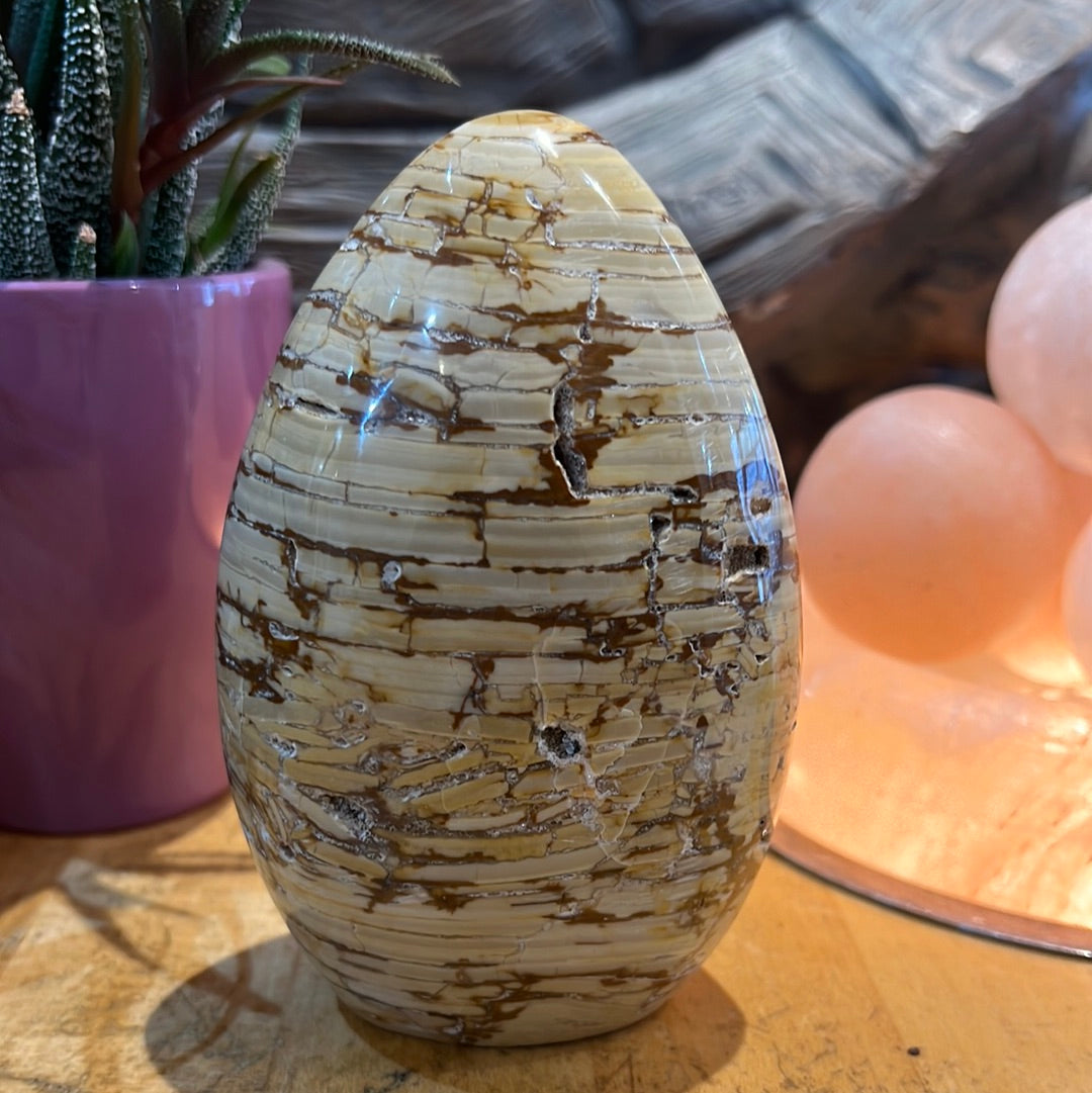 Ibis Jasper Freeform