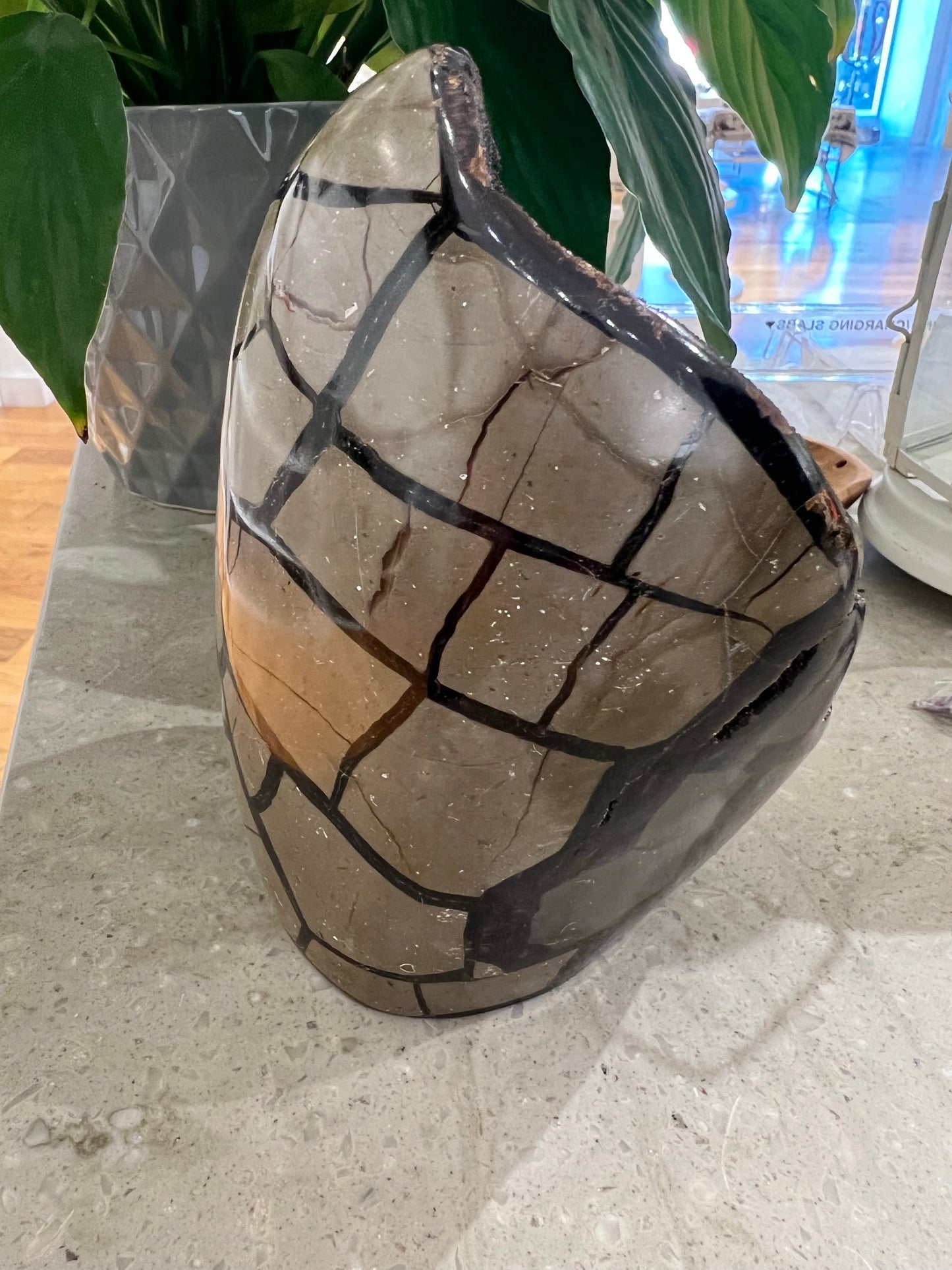 Septarian Dragons Egg