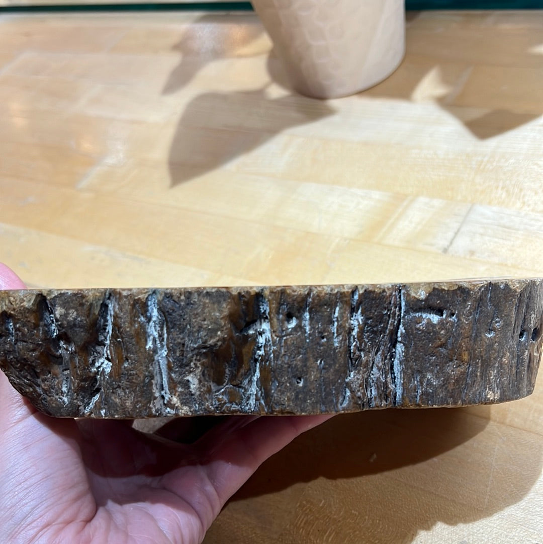 Petrified Wood Bowl