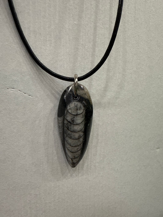 Orthoceras Fossil Necklace