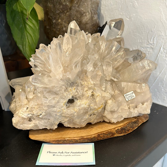 Rare Brazilian Lemurian Cluster