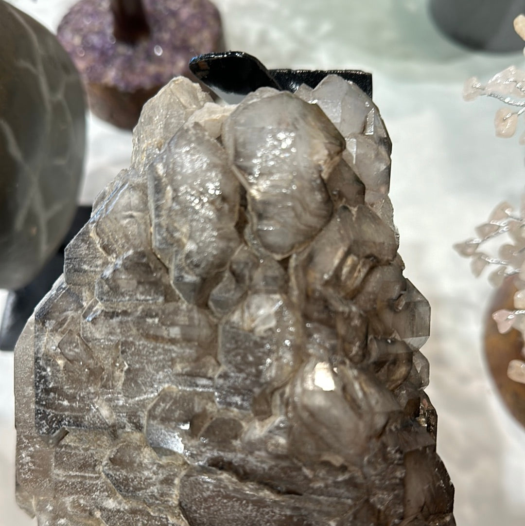 Rare Smoky Elestial Quartz Enhydro - Brazil