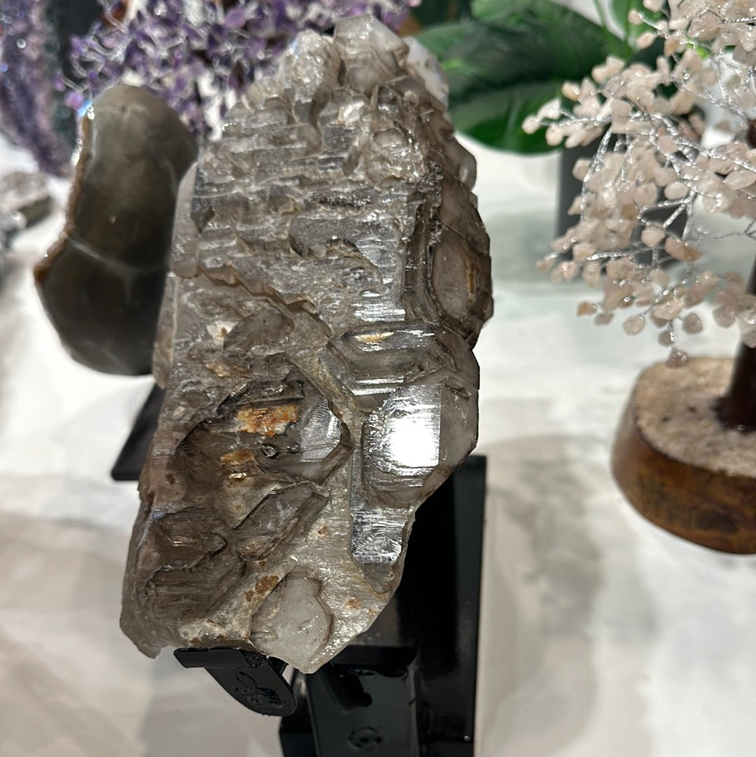 Rare Smoky Elestial Quartz Enhydro - Brazil