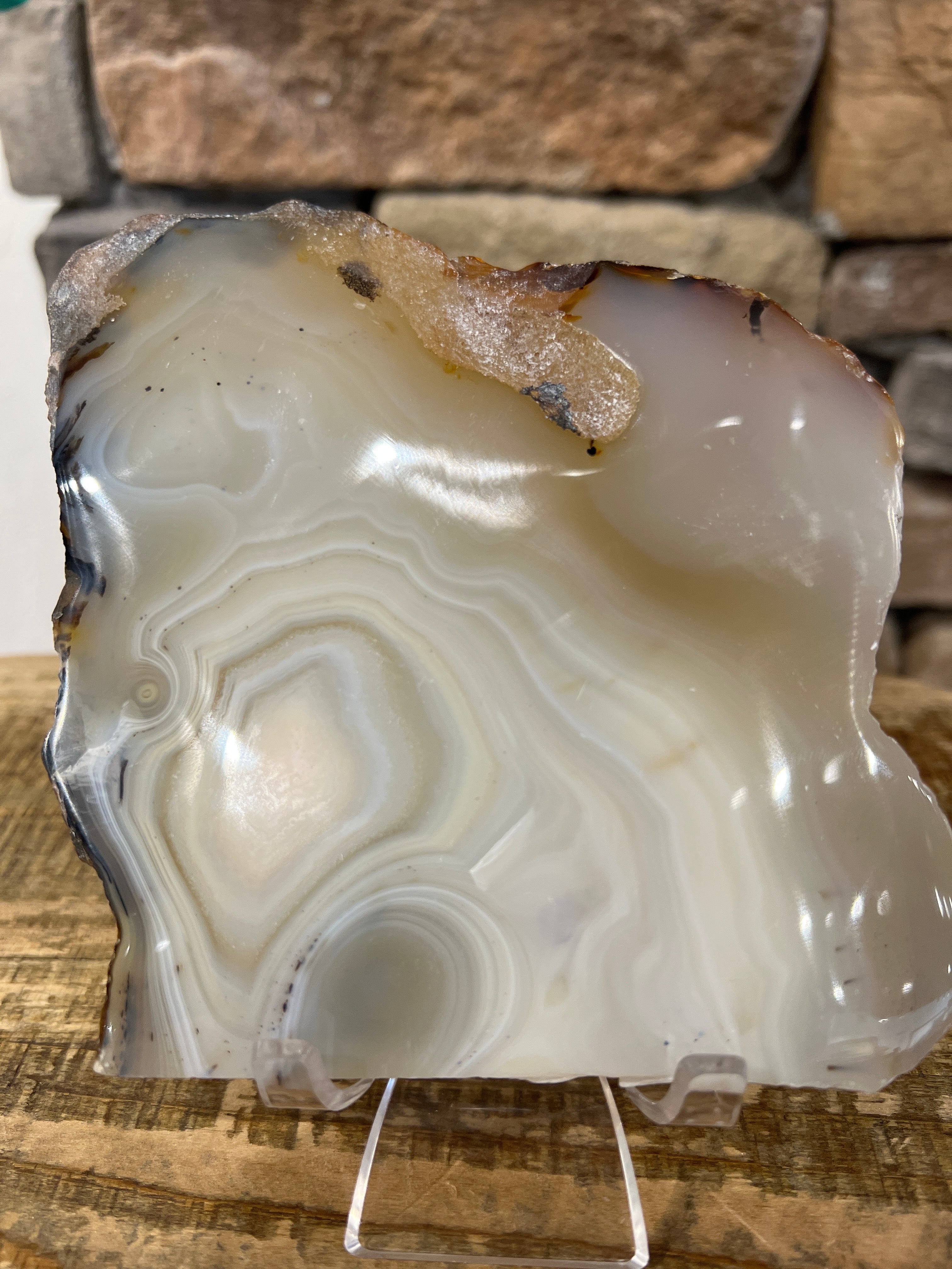 Dendritic Agate Slab – Rocks, Crystals, and Gems