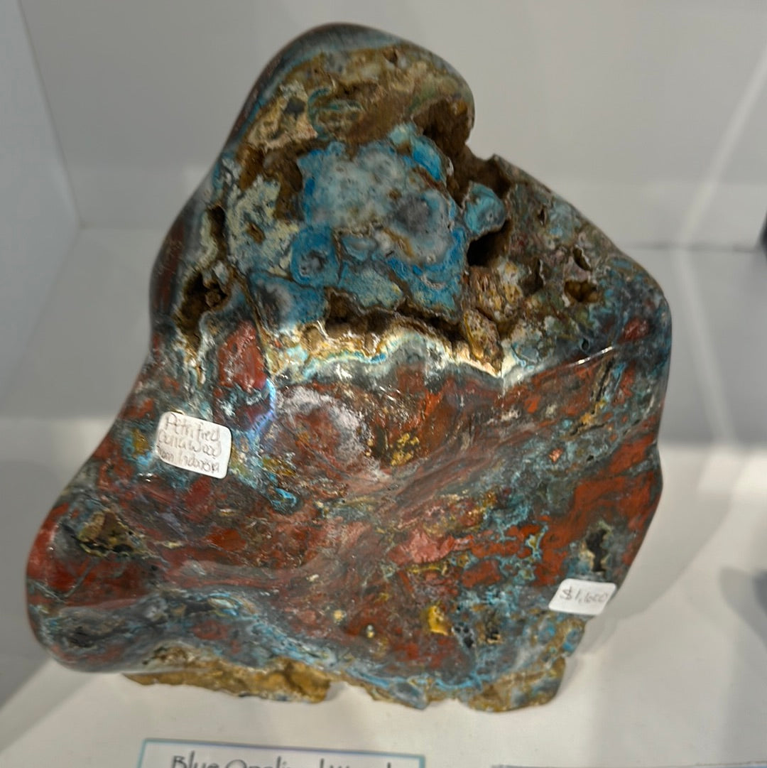 Rare Blue Opalized Petrified Wood With Chrysocolla From Indonesia