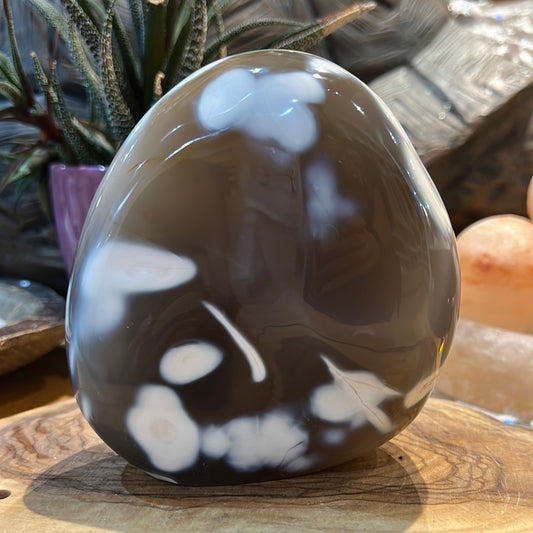 Orca Agate Freeform