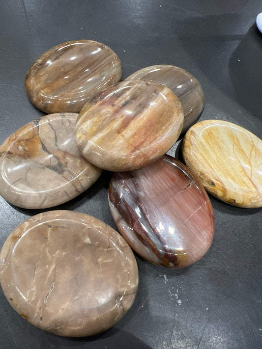 Petrified Wood Worry Stone