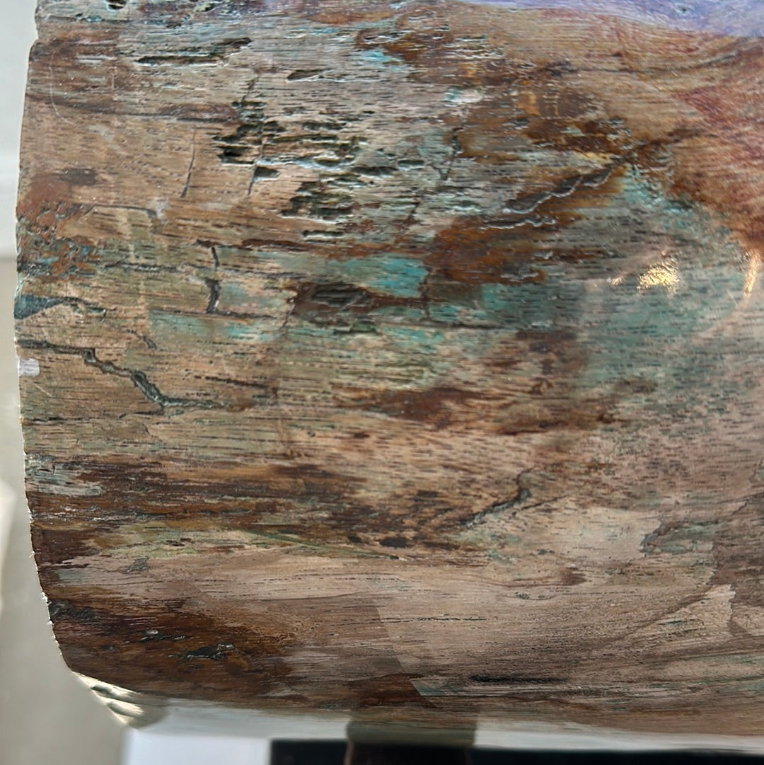 Rare Blue Opalized Petrified Wood with Chrysocolla and Malachite