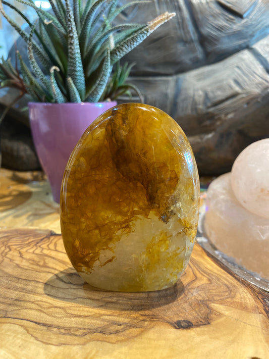 Golden Healer Freeform