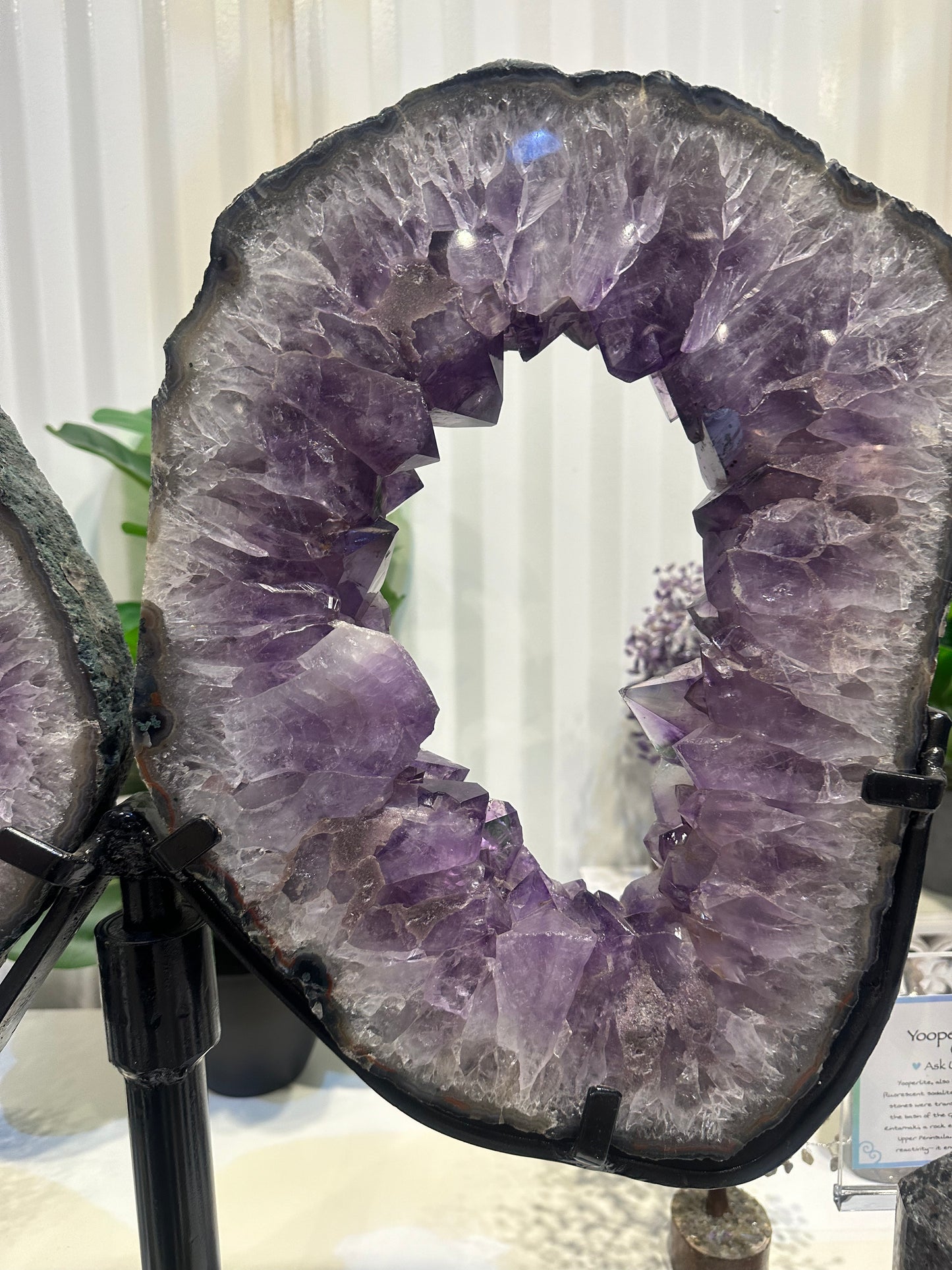 Natural Brazilian Amethyst Pair of Slices With Spinning Custom Stand