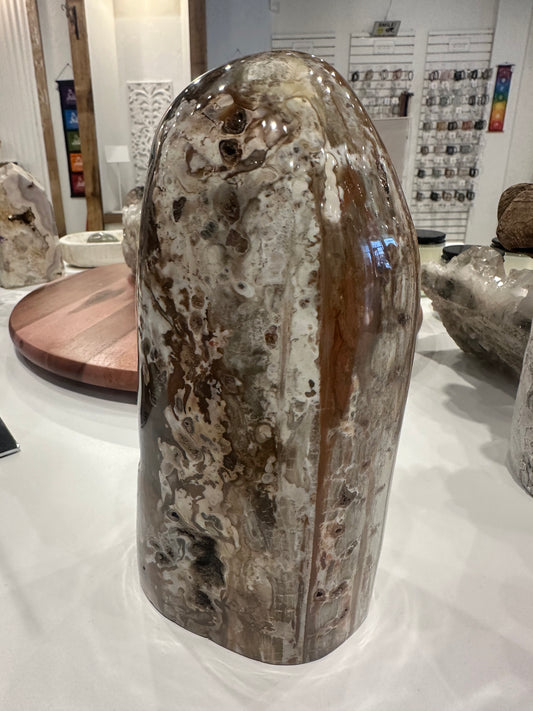 Rare Ocean Jasper and Petrified Wood Statement Piece