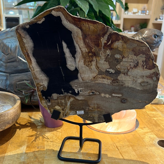 Petrified Wood Slab On Custom Stand