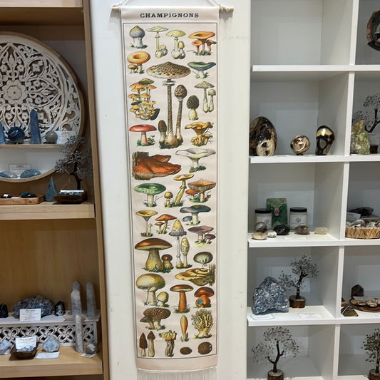 Champignons Mushroom Wall Hanging