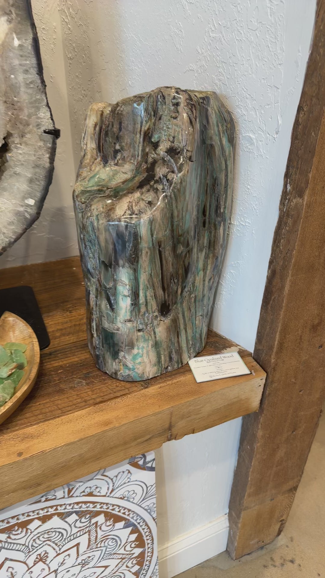 Rare Blue Opalized Petrified Wood with Chrysocolla and Malachite