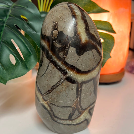 Septarian Freeform