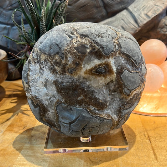 Raw Septarian Display Piece