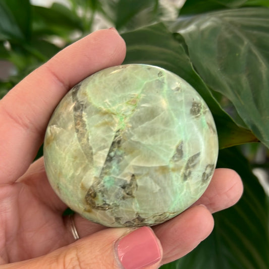 Garnierite Palm Stone