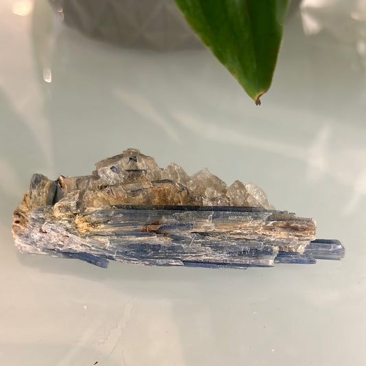 Kyanite Cluster