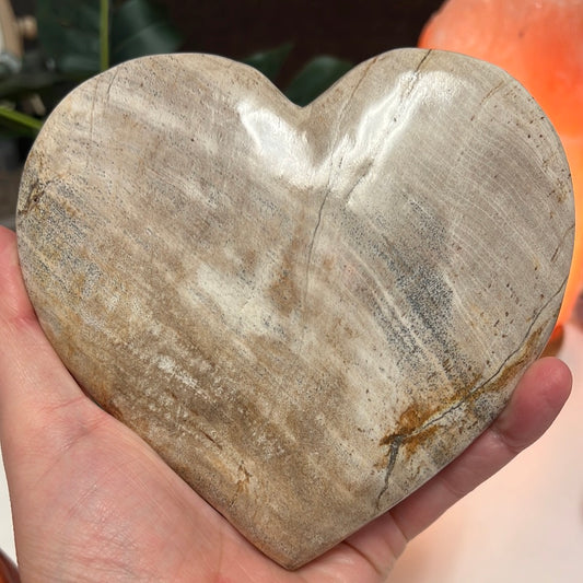 Petrified Wood Heart