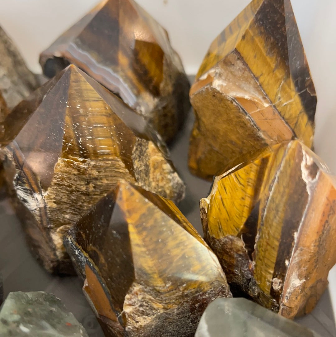 Tigers Eye Power Point