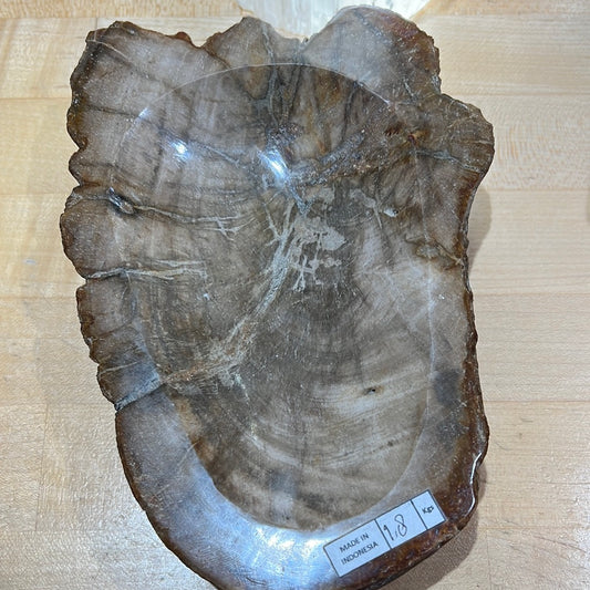 Petrified Wood Bowl