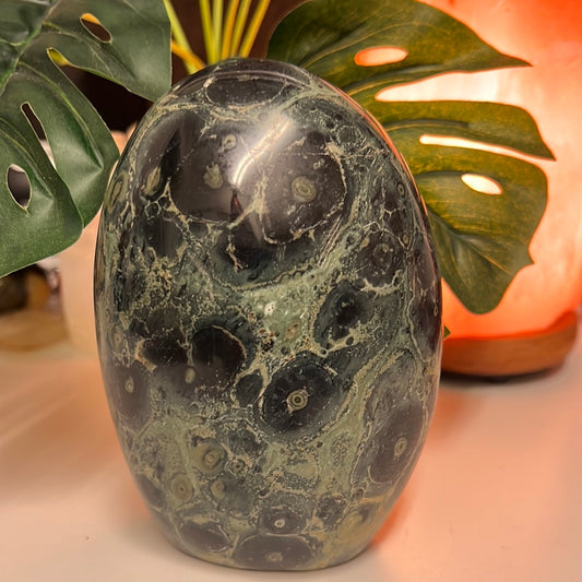 Kambaba Jasper Freeform