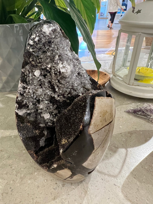 Septarian Dragons Egg With Quartz