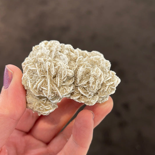 Desert Rose