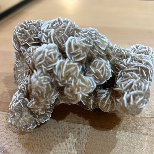 Desert Rose