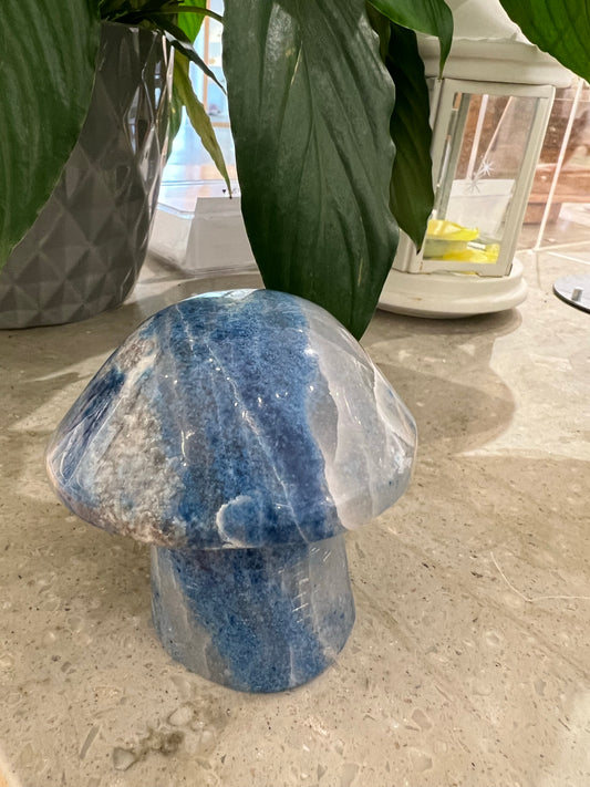 Trolleite Mushroom