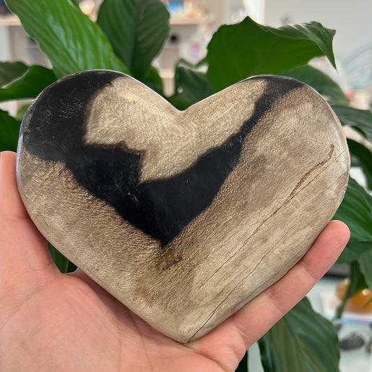 Petrified Wood Heart