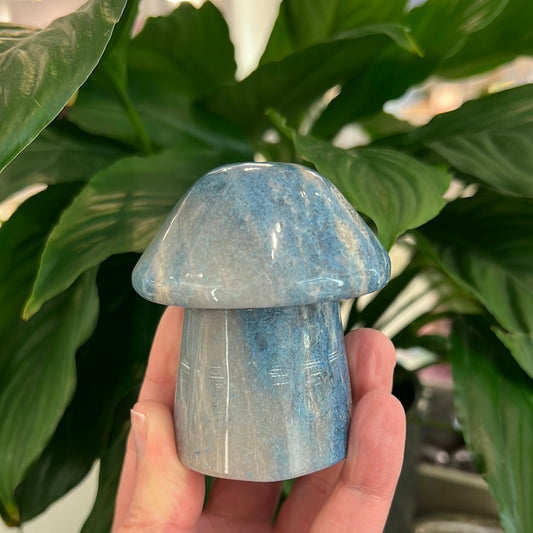 Trolleite Mushroom
