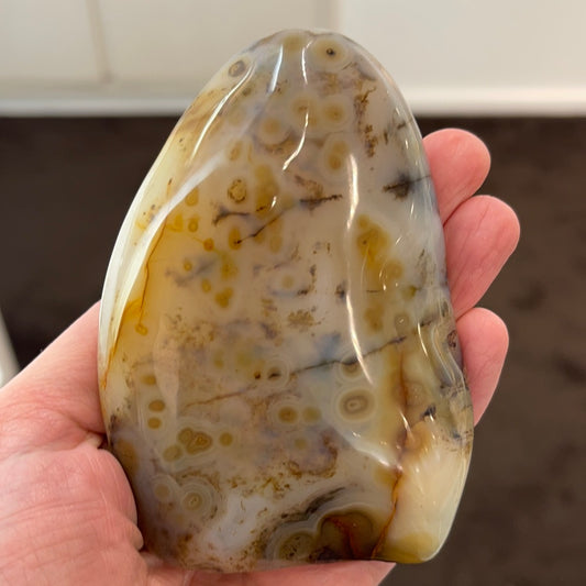 Dendritic Agate Freeform