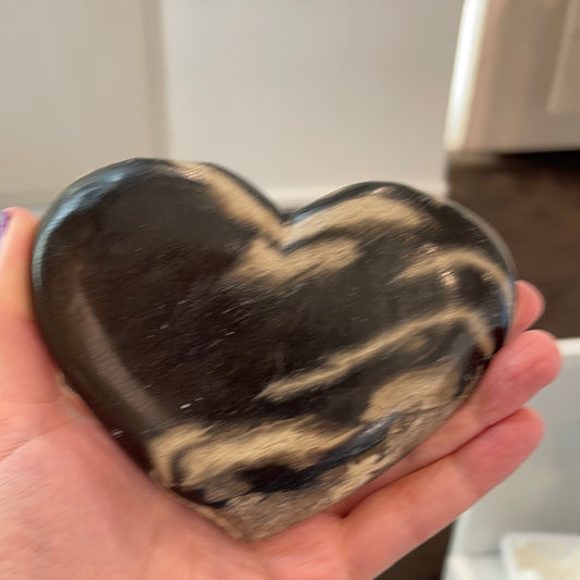 Petrified Wood Heart