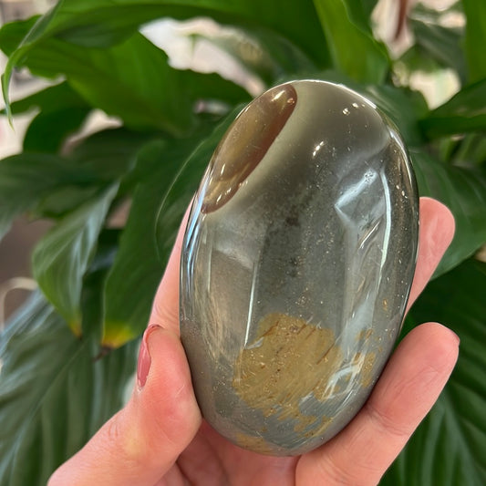 Polychrome Jasper Palmstone