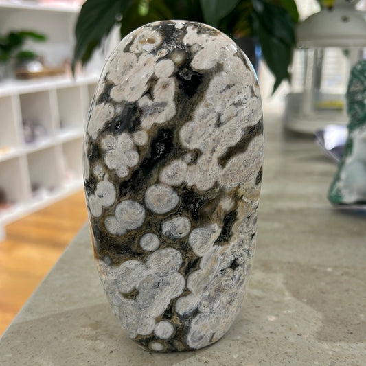 Ocean Jasper Free Form
