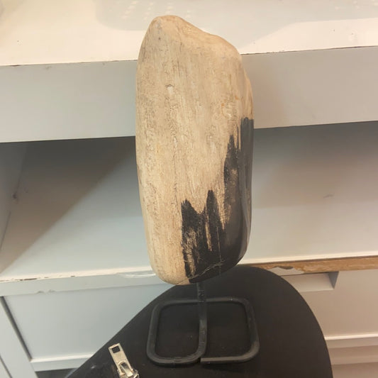 Petrified Wood on Stand