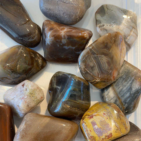 Petrified Wood Tumble