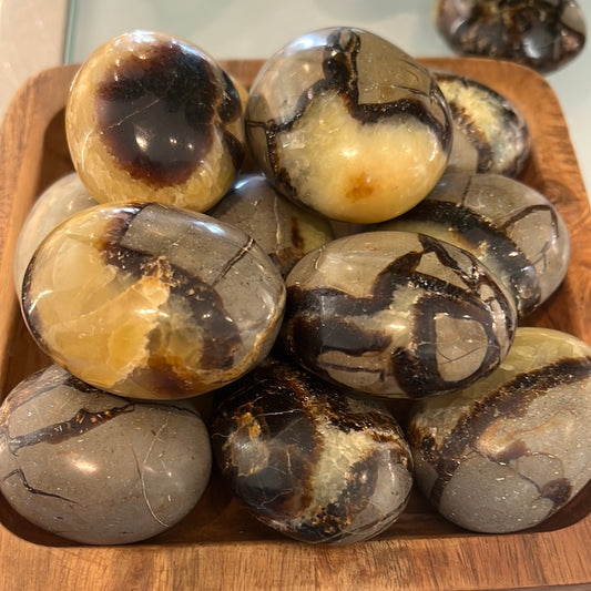 Septarian Palmstone