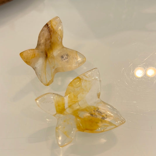 Golden Healer Butterfly