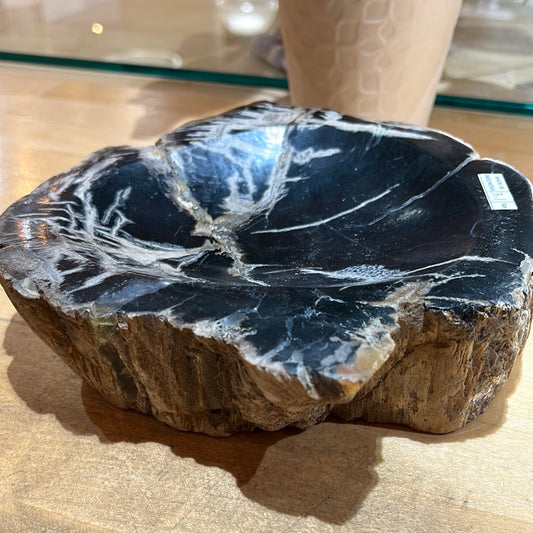 Petrified Wood Bowl