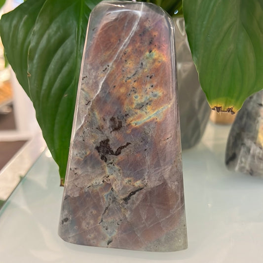 Purple Labradorite Freeform