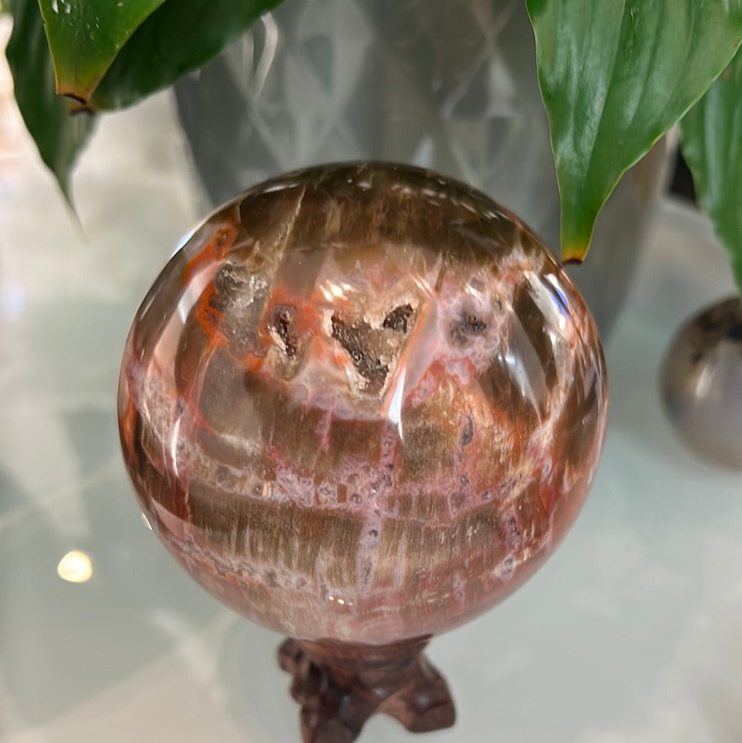 Petrified Wood Sphere With Druzy Pockets