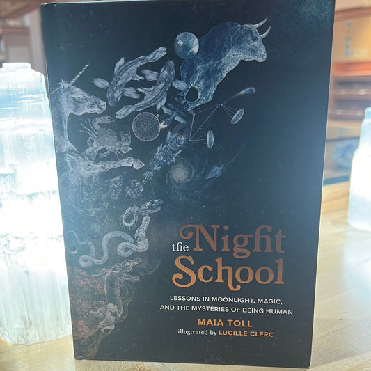 The Night School