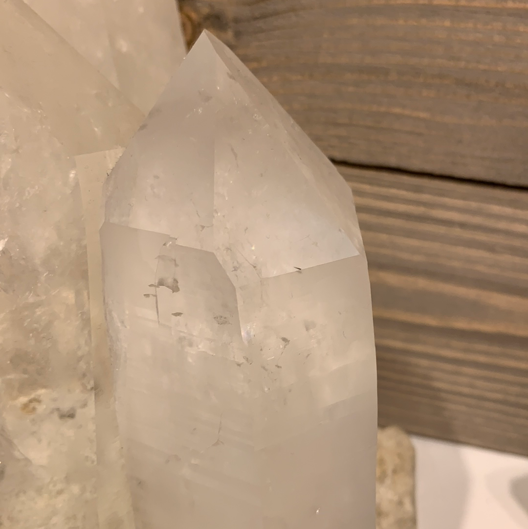 Lemurian Collection Cluster